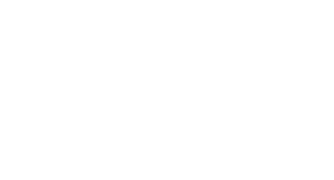Consell Comarcal